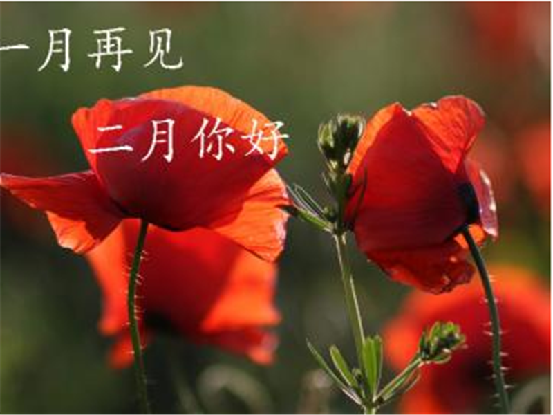 一月再見，美好的二月你好啊